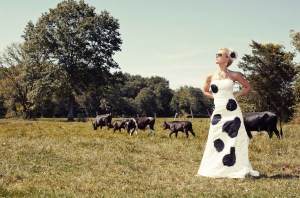 Bovine Fashion